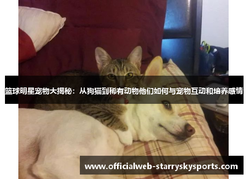 篮球明星宠物大揭秘：从狗猫到稀有动物他们如何与宠物互动和培养感情